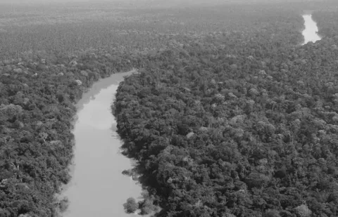 El cambio climático y la Amazonía