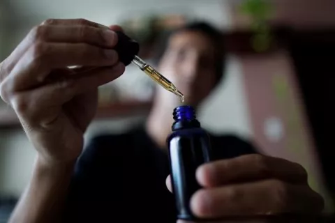 Panamá, a las puertas de reglamentar la ley de uso legal del cannabis