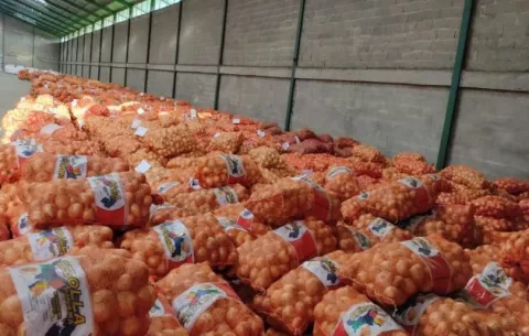 Ponen en funcionamiento la planta secadora de cebolla en Coclé