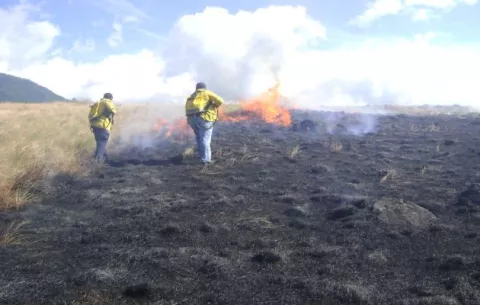 Inician coordinaciones para la prevención de incendios en Chiriquí