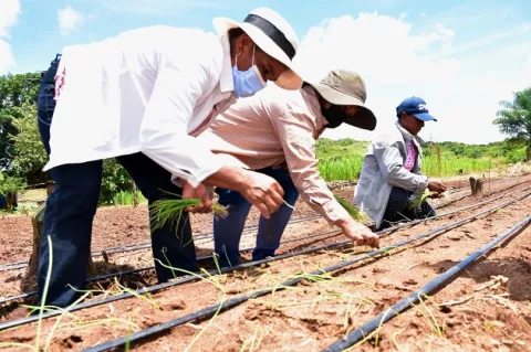 'Tierra Linda', la huerta donde ocho mujeres se labran un destino con piqueta, azadón, coa y mucho esfuerzo