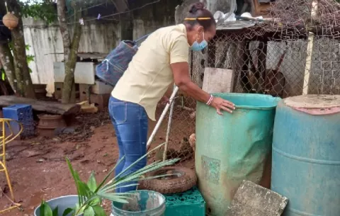 Minsa confirma 40 casos de dengue en la Región Metropolitana