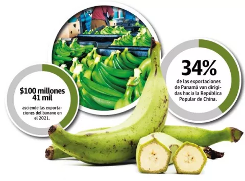 Exportaciones podrían superar los $3 mil millones este año