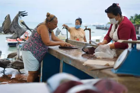 Galápagos, ejemplo mundial de desarrollo de sistemas de alimentos de mar