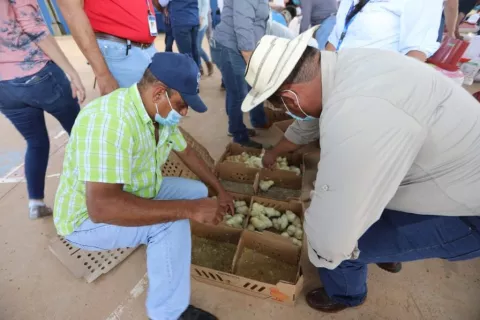 Semillas y herramientas agropecuarias entregan a familias de áreas rurales en Herrera