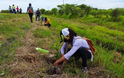Panamá usa por primera vez una 'app' para monitorear su reforestación