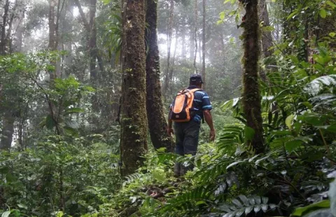 Restringido el acceso a reservas forestales de Coclé, por la alerta amarilla
