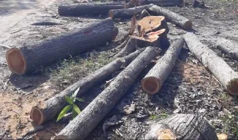 MiAmbiente: proyecto de Eisenmann no tiene estudio de impacto ambiental 