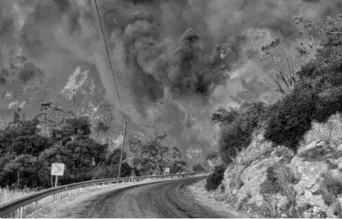 El cambio climático y los fuegos forestales