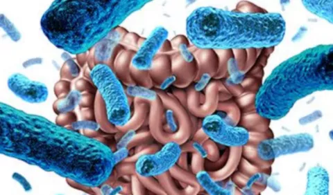 Estudio vincula el microbioma intestinal y el cáncer de próstata agresivo