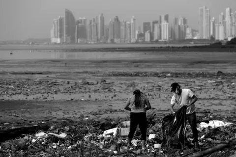 Sobre el ritmo acelerado de extinción global