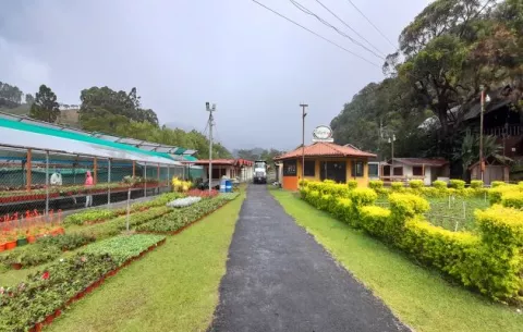 Feria de las Flores y del Café en Boquete cumplirá con nuevas disposiciones del Minsa