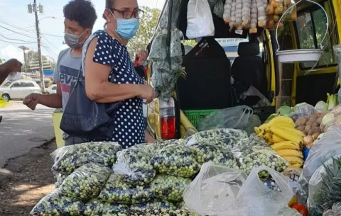 La sobre producción de guandú favorecerá al consumidor este año