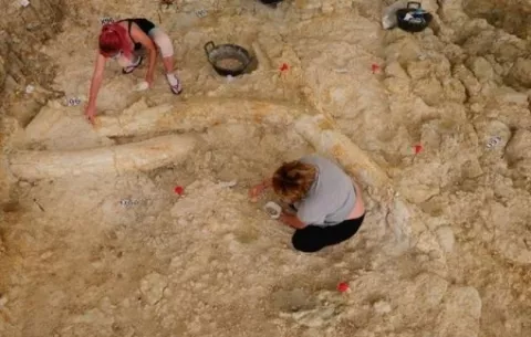 Demuestran que el hombre ya comía carne de animales hace 1.2 millones de años