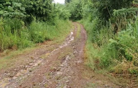 Reclaman más recursos para la reparación de caminos de producción en Sajalices, Chame