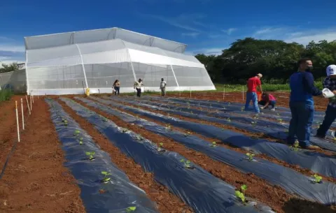 Levantan estructura tecnológica para proteger cultivos en El Ejido de Los Santos