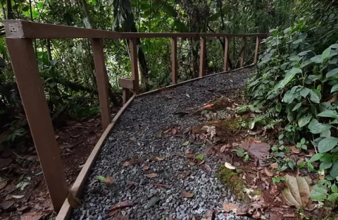 MiAmbiente anuncia reapertura del Sendero Panamá en el Parque Internacional la Amistad