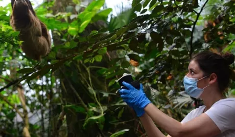 El ADN del aire, ¿Una nueva manera de medir la biodiversidad animal?