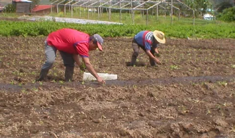 Gobierno impulsa el primer parque agrologístico 