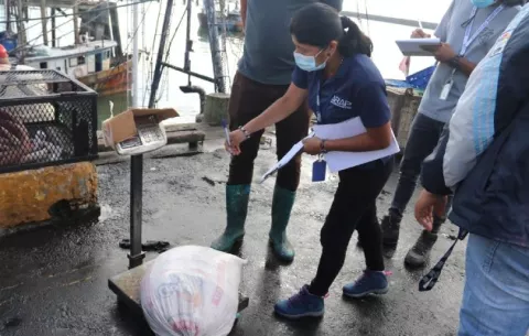 ARAP ejecuta sanción a embarcaciones que navegaban de forma 'fantasma' en Punta Chame