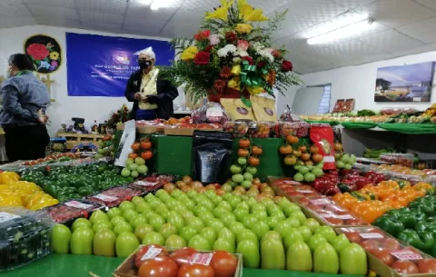 Esperan una inyección económica de 3 millones de dólares por la Feria de las Flores y del Café en Boquete