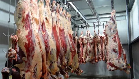 Aprueban proyecto de ley que establece la tipificación de canales y la nomenclatura de cortes de carne de ganado bovino