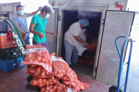 Decomisan 23 mil libras de cebolla y mil libras de ajo en mal estado en Merca Panamá