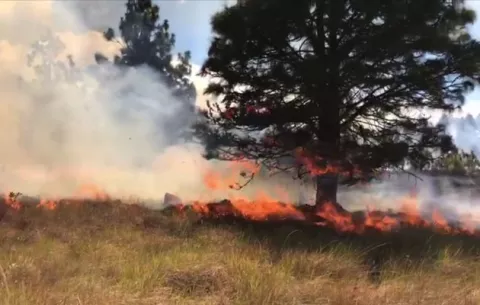 Incendio en Los Cantares consumió 80 hectáreas de herbazales