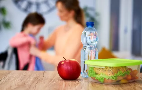 ¿Retomarán el proyecto de buena alimentación en las escuelas este año?