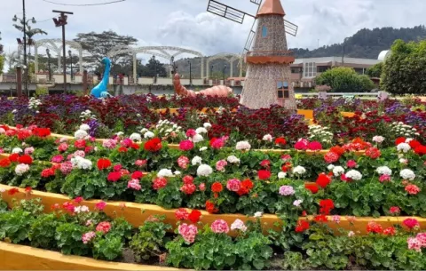 Feria de las Flores y del Café del distrito de Boquete se reinventa