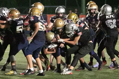 Fighting Owls, campeones del Mini Contact KFL 