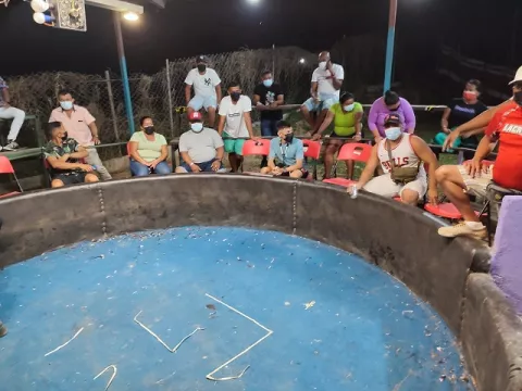 Empresarios piden a la Alcaldía de Los Santos revisar suspensión de eventos festivos 