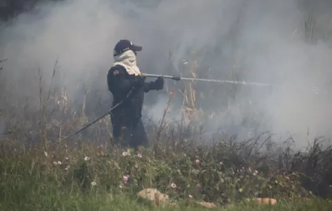¿Cuánto le cuesta al Estado controlar los incendios de herbazales?