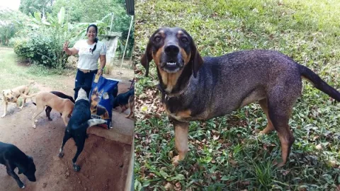 Juliette Chang, la guardiana de los perros de Santiago