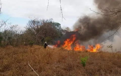 Buscan disminuir las afectaciones por incendios forestales en Los Santos 