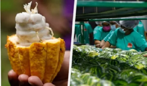 Más de 100 productos industriales con logotipo 'Hecho en Panamá'