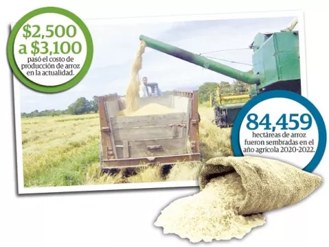Altos costos de producción amenaza precio del arroz
