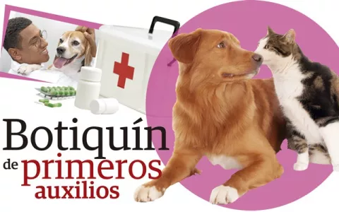 Botiquín de primeros auxilios para mascotas: ¿Qué debe tener?