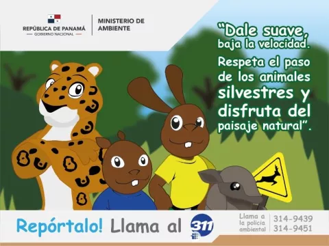 MiAmbiene promueve campaña para evitar atropellos a animales silvestres