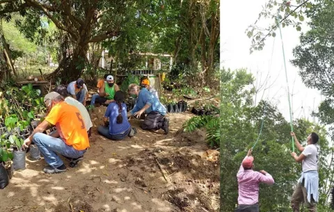 Cazadores de semillas: El proyecto que impulsa la reforestación en Azuero