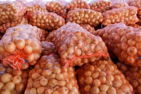 Gobierno Nacional aprueba compra de cebolla por $2.5 millones a productores de Tierras Altas, Coclé y Azuero