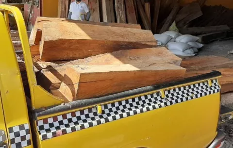 Inician proceso administrativo por el traslado ilegal de 40 piezas de madera 