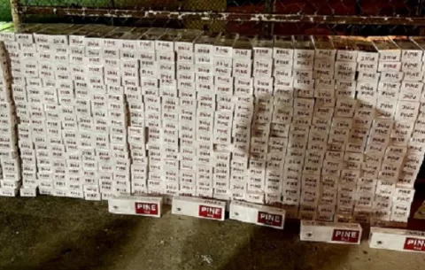 Más de 5 mil cigarrillos de contrabando detectan en camión que transportaba gallinaza