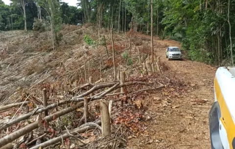 Autoridades alertan sobre posible delito ambiental en el distrito de Santa Isabel, Colón