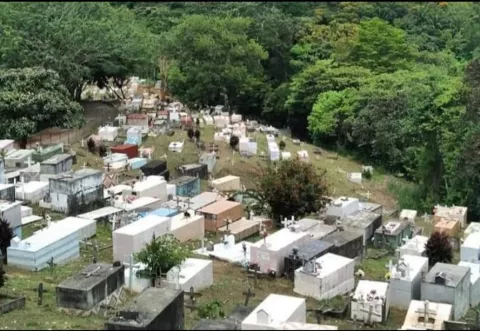 Cementerio de Buena Vista en Colón ya no tiene espacio