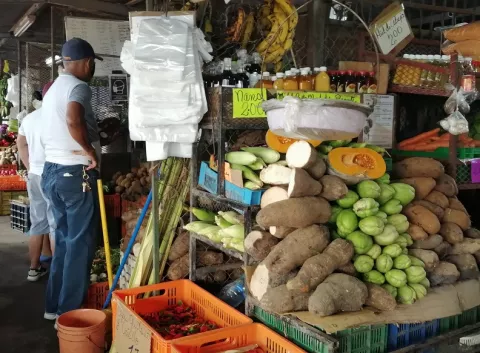 Por petición de empresa constructora, unos 86 comerciantes agrícolas serán reubicados