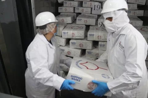 Panamá continúa esfuerzos para cumplir requisitos para exportar carne a EE.UU