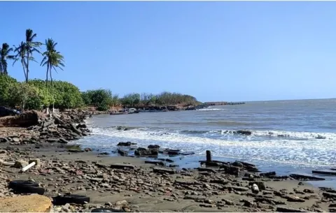 Apuestan por la recuperación de playa Los Guayaberos en Los Santos