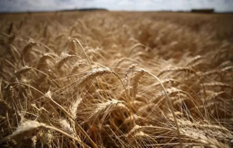 ¿Cuáles son los principales peligros para la economía mundial luego de la invasión rusa?