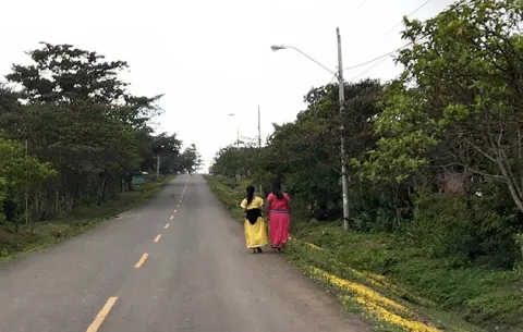Minsa asegura que no hay evidencias de esterilizaciones sin permiso en Bocas del Toro